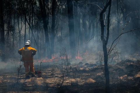 Firefighter inspecting bushfire
